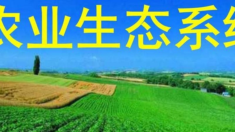 南方水果种植基地：新手创业的沃土选择**