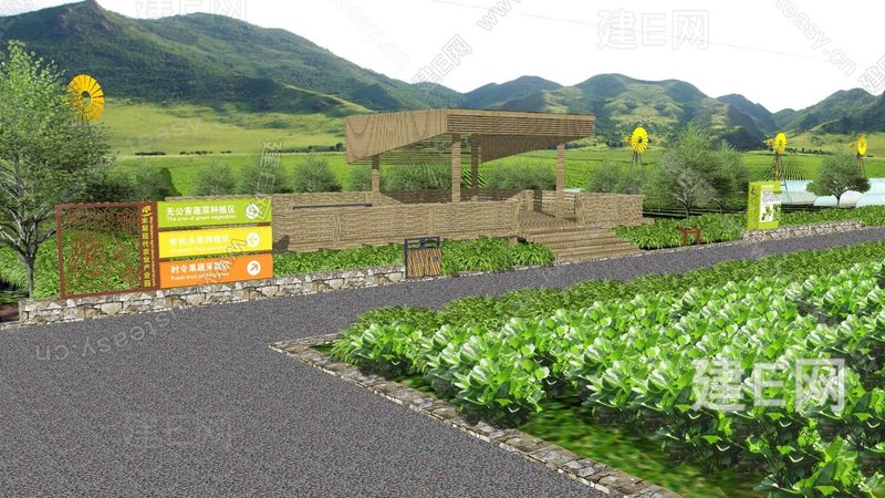 生态农产品供应链搭建：从源头到餐桌的绿色桥梁