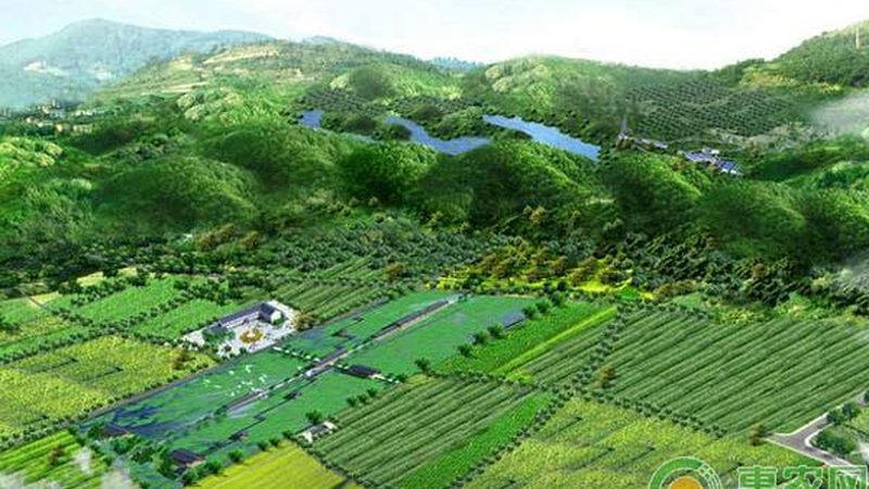 设施农业补贴政策2025：关注要点与合规指南