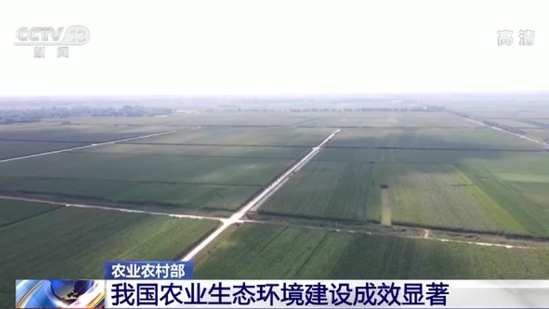 农业项目申报材料编写：关键步骤与要点解析