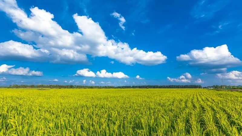 生态农场投资预算，如何科学规划？**