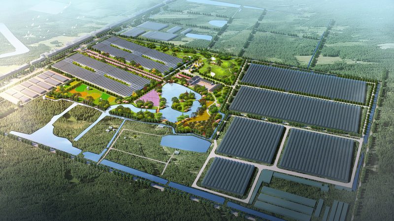 大棚水果种植成本构成解析