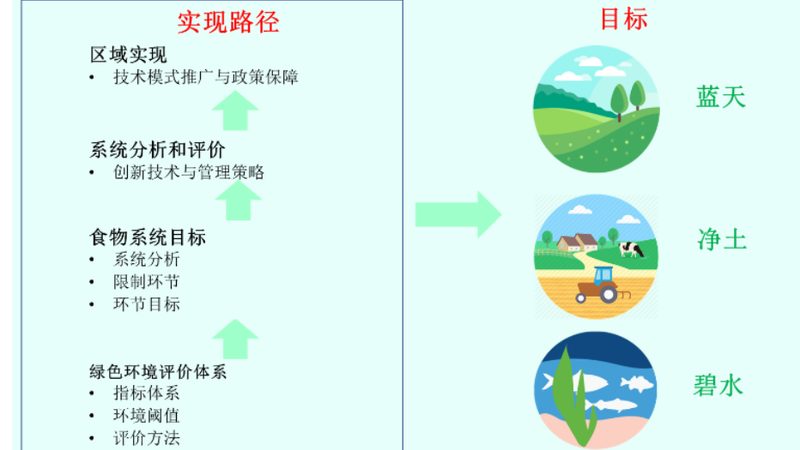 休闲观光农业产业园与农家乐：本质区别与运营策略