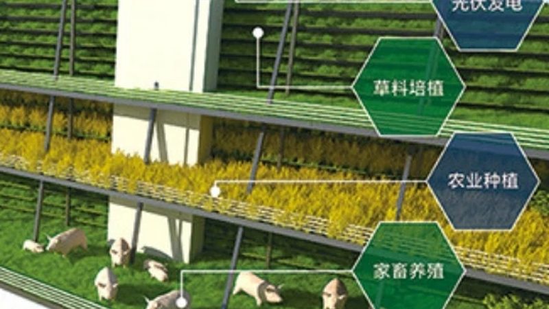 合作社如何让农户种植项目真正落地见效
