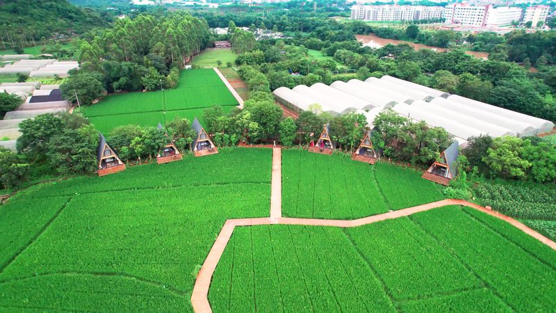 休闲农业园区运营模式探析：优势与挑战并存