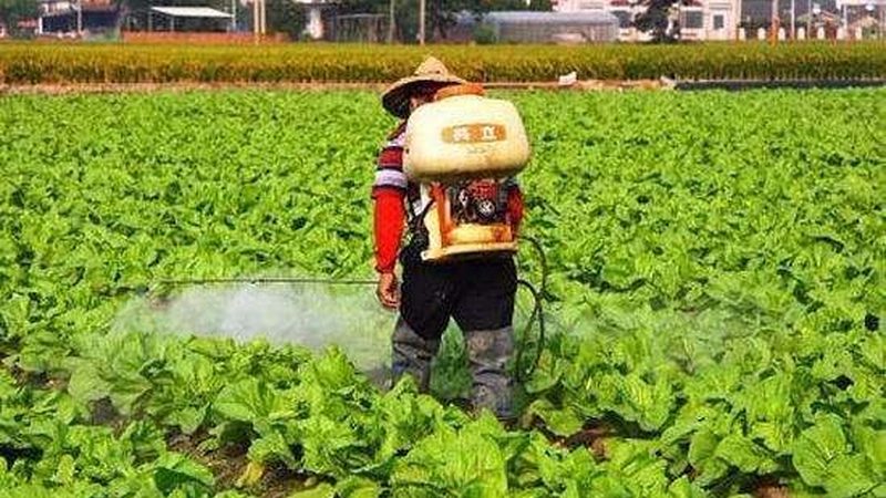 玻璃温室工程公司怎么挑才不踩坑