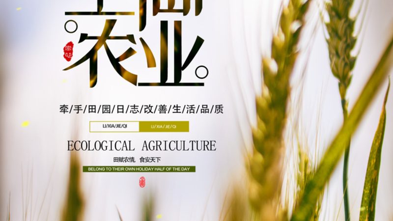 农产品批发厂家哪家便宜